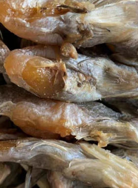 山东潍坊渤海湾带籽鱼小咸鱼海鲶鱼油光鱼狗光鱼狗杠子鱼羊口咸鱼