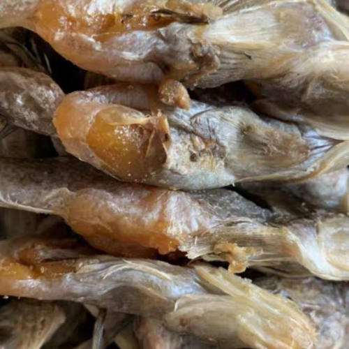 山东潍坊渤海湾带籽鱼小咸鱼海鲶鱼油光鱼狗光鱼狗杠子鱼羊口咸鱼