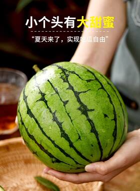 潍坊固堤2K西瓜手剥皮西瓜小糖丸西瓜冰糖子小西瓜礼盒装顺丰包邮