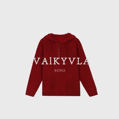 【Valkyvia/悠悠奢品】14针500g高克重质感百搭纯色连帽衫9496