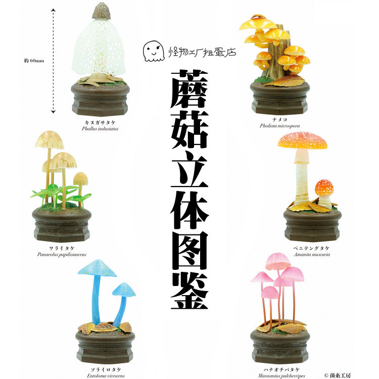 蘑菇立体图鉴 可爱菇菇 植物模型摆件 日本正版扭蛋现货