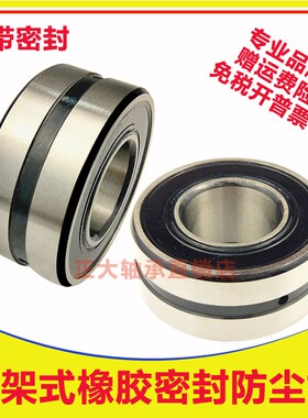 带密封调心滚子轴承BS2-2212 2213 2214 2215 2216 2217 2218-2CS