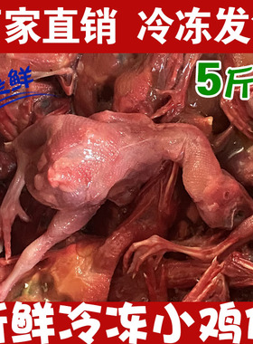 新鲜冷冻小鸡仔脱毛小鸡宠物猫狗粮零食蛇鹰甲鱼鳄龟乳鹌鹑幼崽