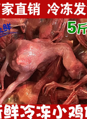 新鲜冷冻小鸡仔脱毛小鸡宠物猫狗粮零食蛇鹰甲鱼鳄龟乳鹌鹑幼崽
