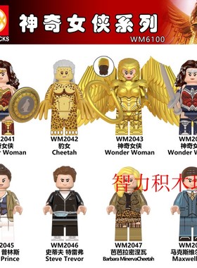 WM6100积木人仔DC超级英雄黄金盔甲神奇女侠1984豹女拼装玩具模型