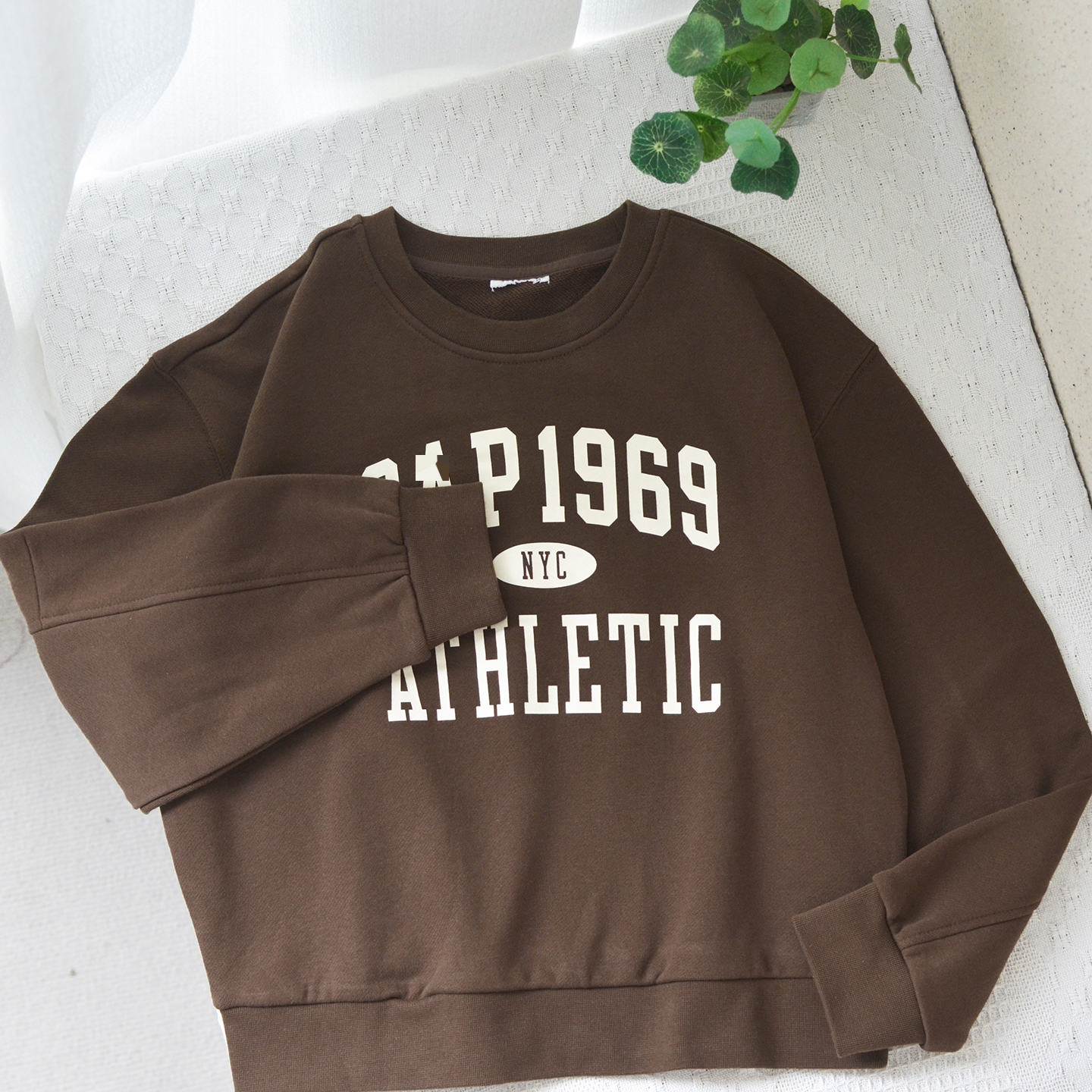 成人女款美单纯棉毛圈春秋卫衣