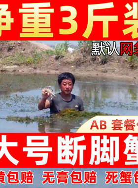 3斤10-12只残蟹固城湖大闸蟹鲜活断脚蟹水产残次蟹特大全公母螃蟹