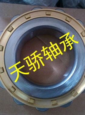 无外圈圆柱滚子轴承RN204M RN205EM 206 207 208 209M