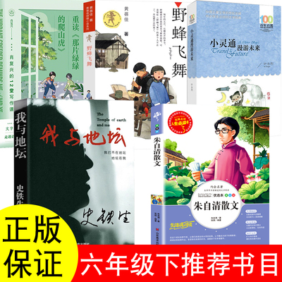 六年级下册必读课外书朱自清散文精选我与地坛史铁生著小灵通漫游未来叶永烈野蜂飞舞黄培佳重读那片绿油油的爬山虎肖复兴