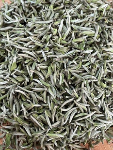 头采白毫银针2025年福鼎白茶正宗高山明前米芽毫针花香甜散装茶叶