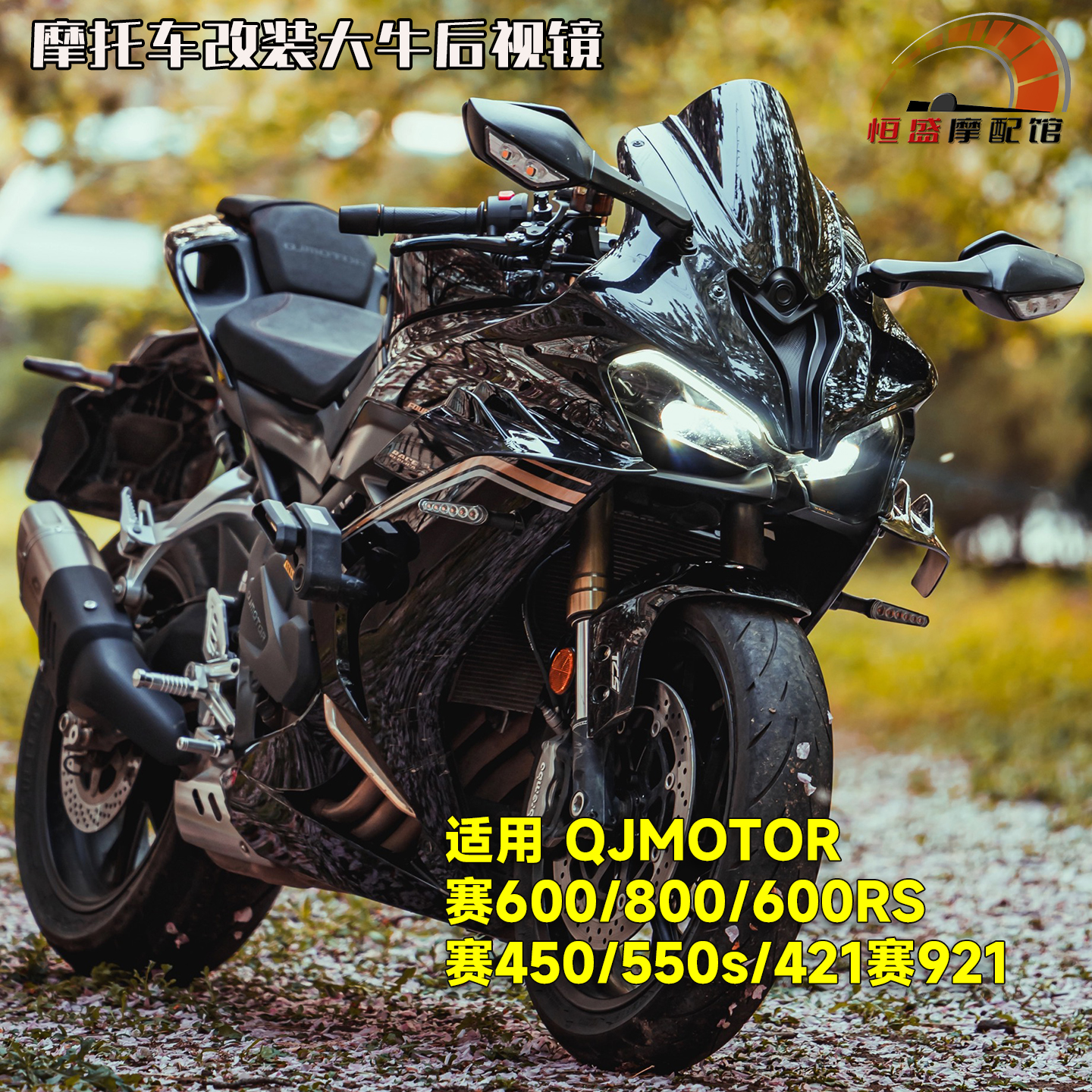 钱江赛800/600大牛转向灯后视镜