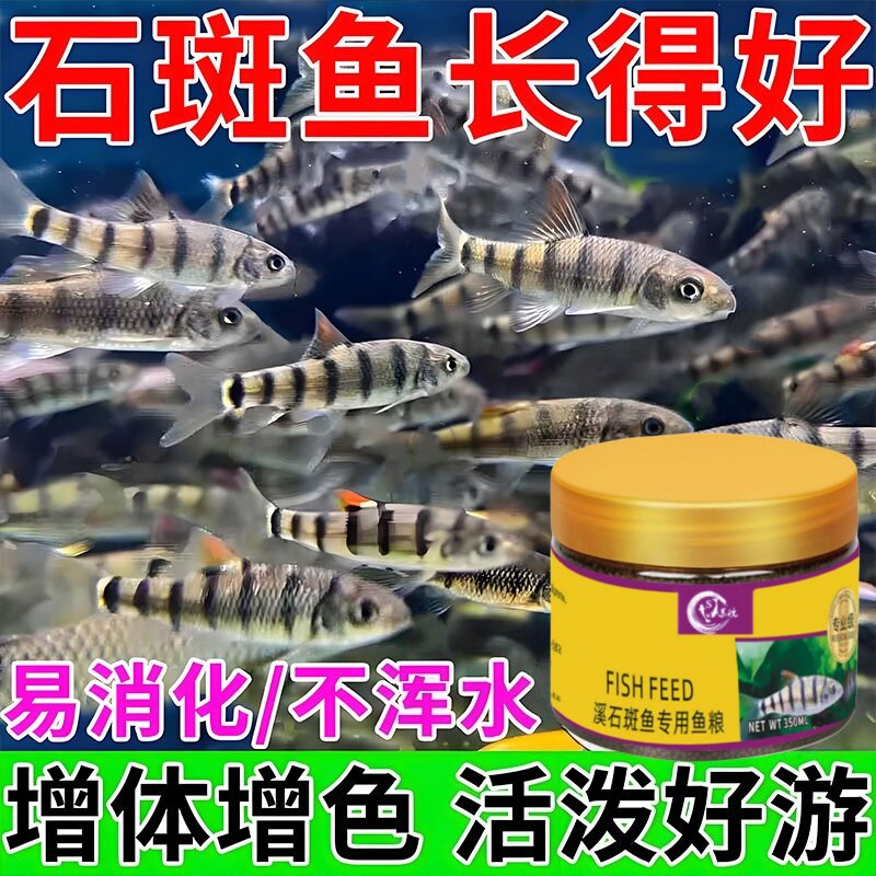 石斑鱼专用饲料原生鱼鱼食淡水石斑鱼溪石斑鱼鳑鲏鱼下沉营养鱼粮