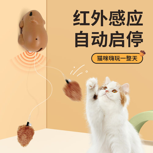 智能感应自动升降水豚猫玩具充电