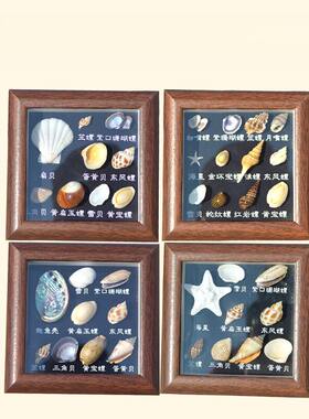天然贝壳海螺海星相框生日礼物画框中空正方形摆台威海旅游纪念品
