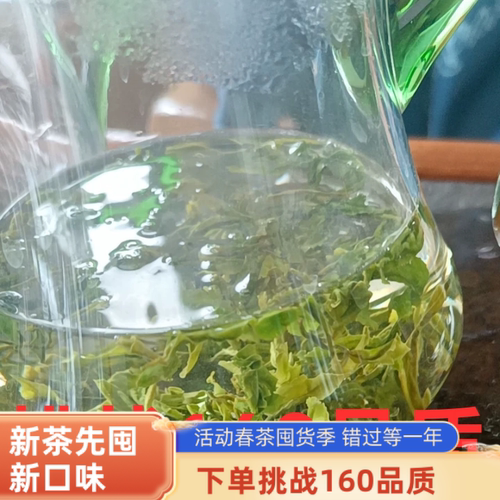 日照绿茶新茶挑战160品质一斤送100克包邮,包邮散装2026