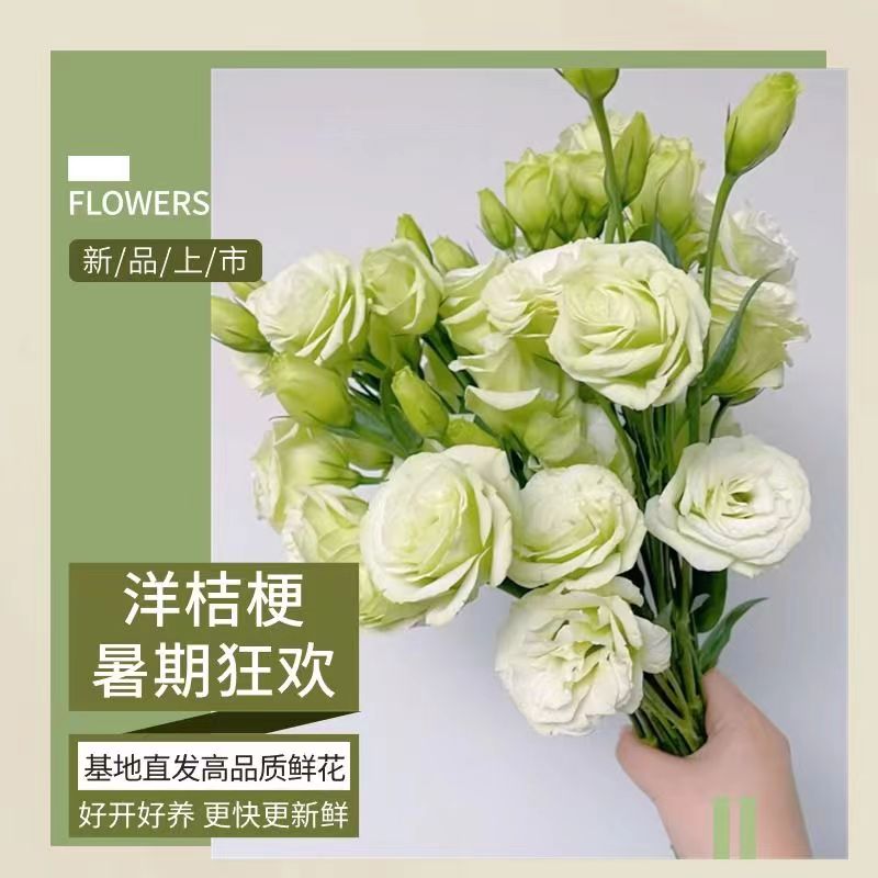 洋桔梗白玫瑰花束毕业送朋友鲜花同城配送生日礼物女生约会花束