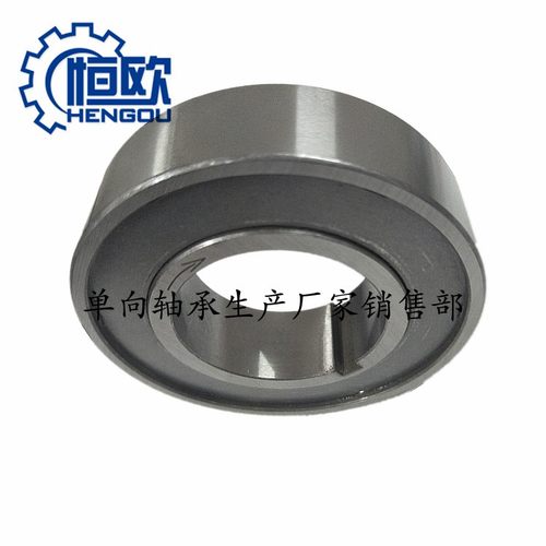 单向轴承 TSS30 TSS35 TSS40 TSS45 TSS50 TSS60