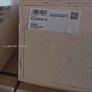 6204轴承座 6204不锈钢轴承 6204rs轴承 FAG SL182956-B