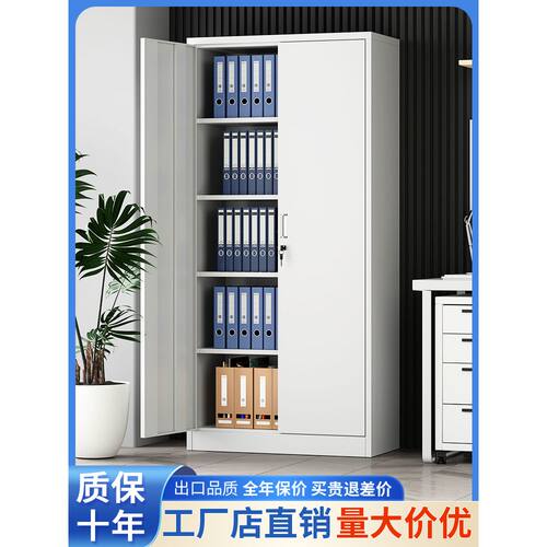 钢制财务凭证柜办公室对开门