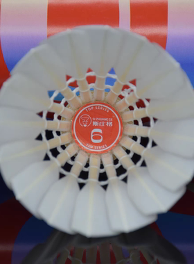 12只装斯庄格top6鹅毛驼背羽毛球打感好耐打稳定对标as09专业比赛