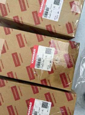 洋马YANMAR  EY18柱塞，型号146623-51