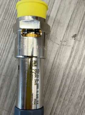 Sauer Compressors 安全阀，型号0