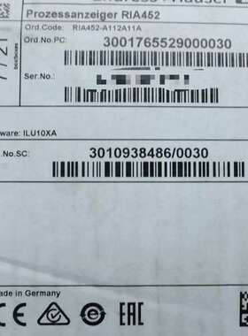 E+H 数显仪 RIA452-A112A11A 带泵控制功能