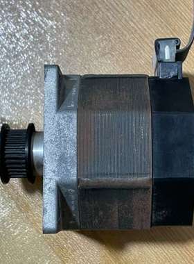 美国太平洋电机POWERMAX电机 P21NRXS-LSS-