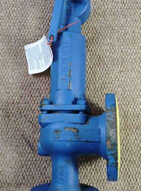 LESER德国莱斯安全阀，DN40，PN40，Type:44