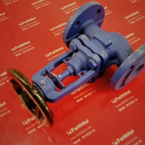 ARI 12.046 DN25 PN16 EN-JS1049