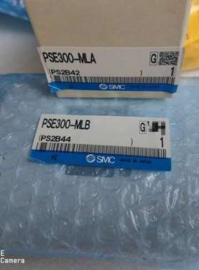 PSE300-MLB，PSE300-MLA数显负压