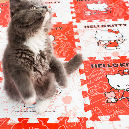 环保无味无甲醛卡通拼接泡沫垫