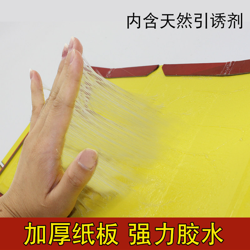 XINHONG 스티커 마우스 보드 슈퍼 강한 큰 마우스 스티커 접착제 마우스 잡기 부목 레스토랑 작업장 식품 공장 10 시트 무료 배송