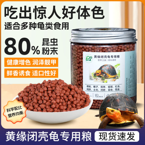 黄缘龟安缘龟高钙虫粉龟粮闭壳龟半水龟幼龟增色发色补钙虫粉龟粮