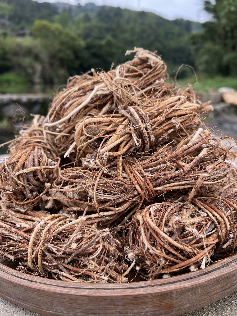 土楼野生五指七指毛桃煲炖汤煮水泡酒料祛湿山货人特产250g手脚凉