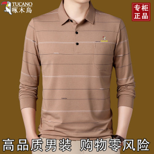 中年宽松休闲翻领真口袋条纹爸爸装 春秋款 棉质T恤长袖 啄木鸟男士