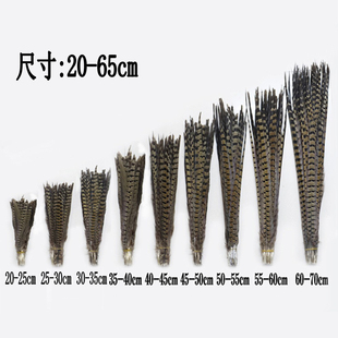 天然野鸡毛地鸡毛逗猫羽毛棒山鸡羽毛京戏翎子头饰山鸡尾侧尾羽毛