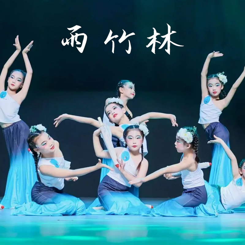 女童小兰花奖雨竹林演出服儿童傣族舞蹈服装孔雀舞鱼尾裙子民族舞