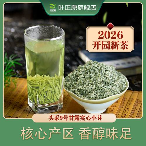 2026新茶蒙顶甘露开园9号