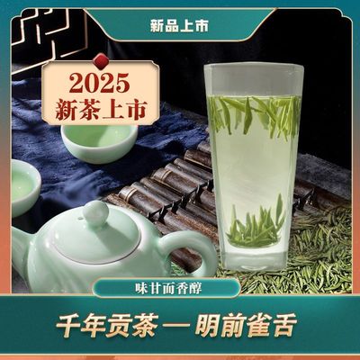 2025新茶蒙顶山雀舌早春明前茶