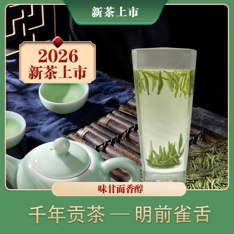 2026新茶蒙顶雀舌 蒙顶山早春明前茶 石花、毛尖类特级绿茶