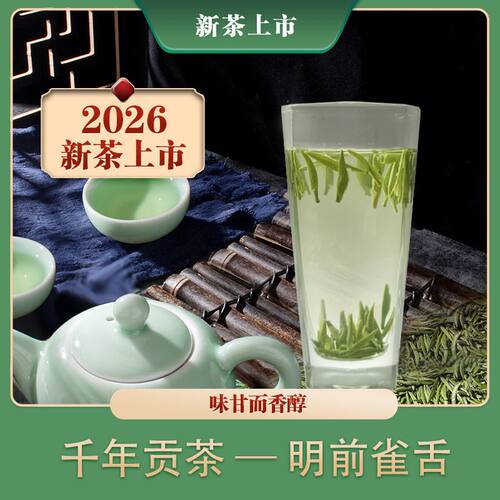 2026新茶蒙顶山雀舌早春明前茶
