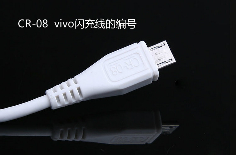 chargeur VIVO pour téléphones VIVO - Ref 1294109 Image 5