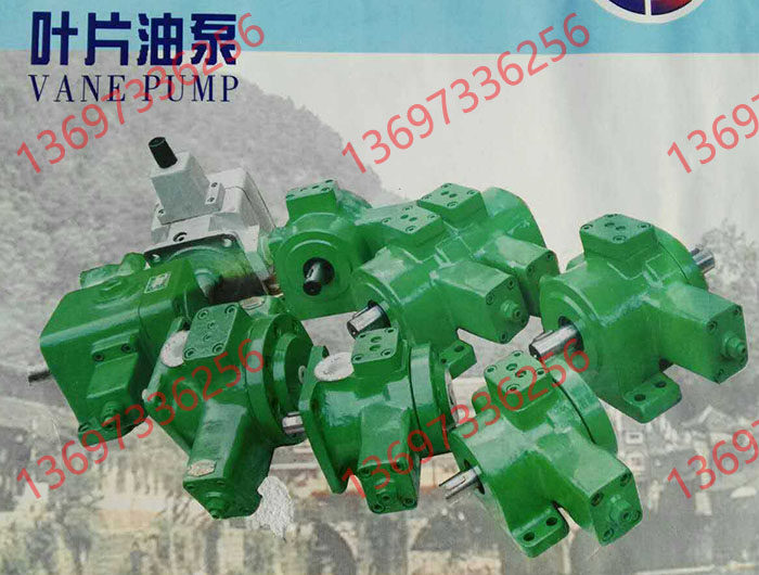 V3,V4变量叶片泵 YBX-25B 16B 16J 40B 40J YBX-D10 C20 B32 D50