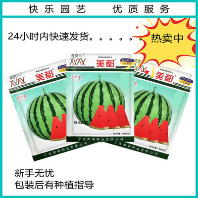 美都微萌西瓜种子皮薄耐裂少籽超甜脆8424圆西瓜美都西瓜种子籽孑