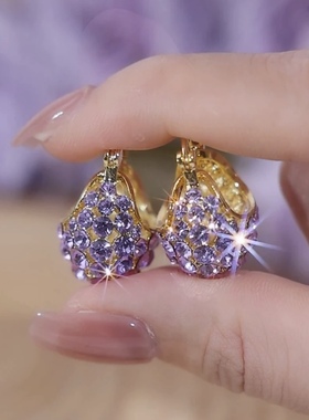轻奢紫色水晶提篮耳扣耳环2025年新款爆款小众设计感银针耳坠耳饰