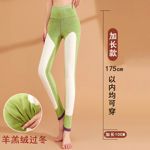 打底秋裤 保暖裤 高个子175修身 高腰加绒棉裤 女士加长德绒加厚冬季