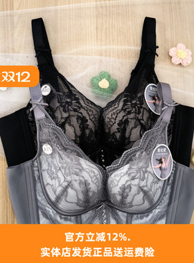 都市丽人新款内衣LJH1S1桑蚕丝杯里上薄下厚A/B杯四排扣聚拢文胸