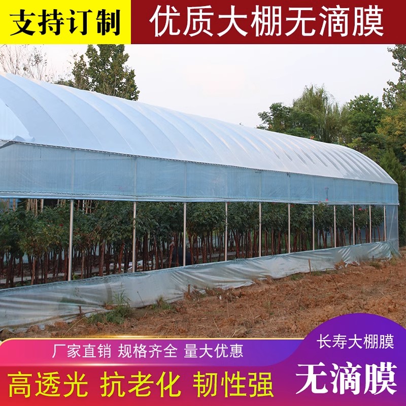 进口抗老化棚膜长寿耐用厂家直销