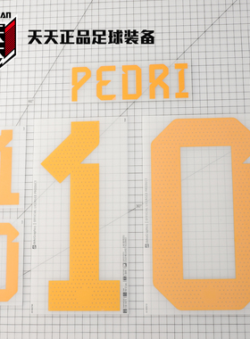 正品2022世界杯西班牙主场26号佩德里9号维嘉字号球员球衣HE2021